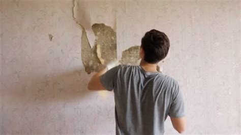 Man Tearing Off Wallpaper In Room — Stock Video © Lenblr 232727662