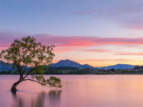 Wanaka 4k Wallpapers For Your Desktop Or Mobile Screen