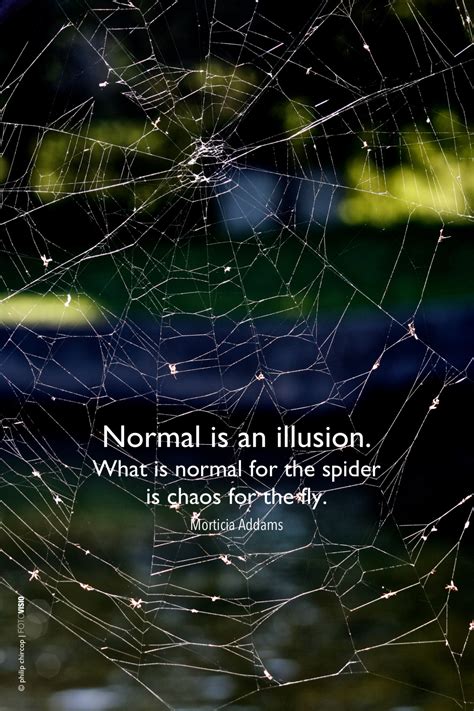 A-MUSED - NORMAL IS AN ILLUSION 