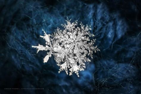 Learn The Basics Of Photographing Snowflakes With Extreme Macro Lenses