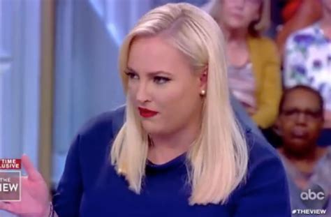 Meghan Mccain To Hillary Clinton On The View I Got Into It With Pamela Anderson