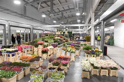 Keeping drainage fresh and healthy at New Covent Garden Market - UKDN ...