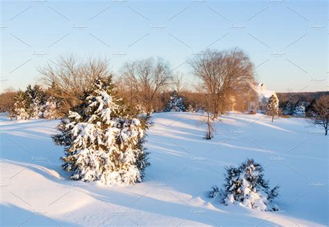 Snow Covers Trees In Garden Stock Photo Containing Garden And House
