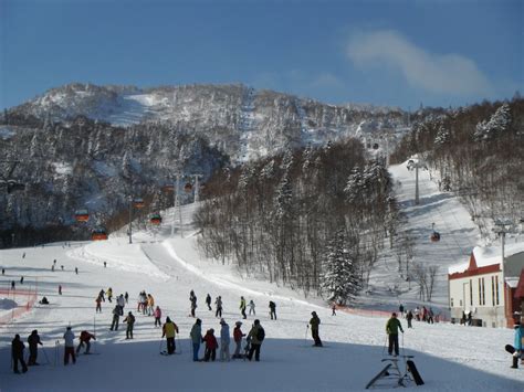 Vegan Food And Travel In Japan Skiing In Hokkaido