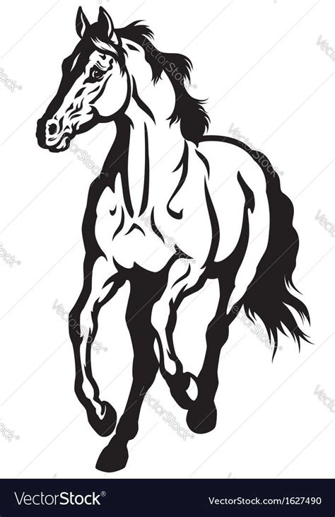 Running Horse Front View Black And White Image Download A Free Preview