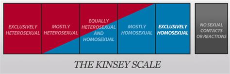 Qual Sua Orientação Sexual De Acordo Com A Escala Kinsey