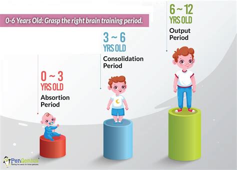 3 Stages Golden Period Of Childrens Brain Development Pengenius