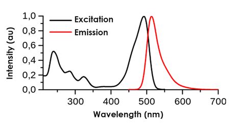Fluorescence Light Sources A Comparative Guide