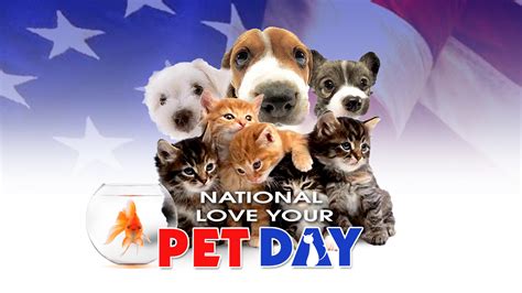 🔥 13 National Puppy Day Wallpapers Wallpapersafari