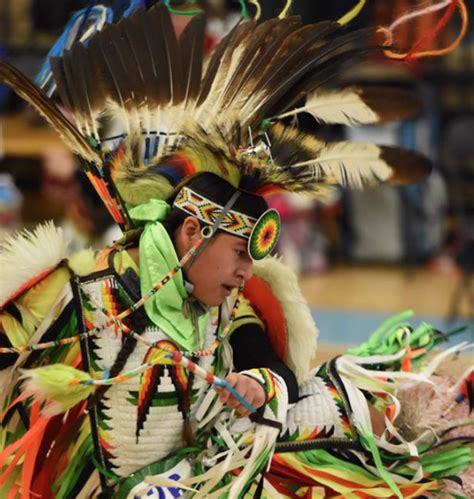47th annual dance for mother earth powwow returns to ann arbor arts stories and interviews