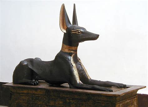 Animais Sagrados Do Egito