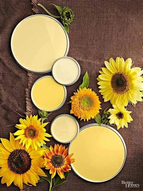 Pin By Ovetta Jackson On Color Palettes Yellow Paint Colors Yellow