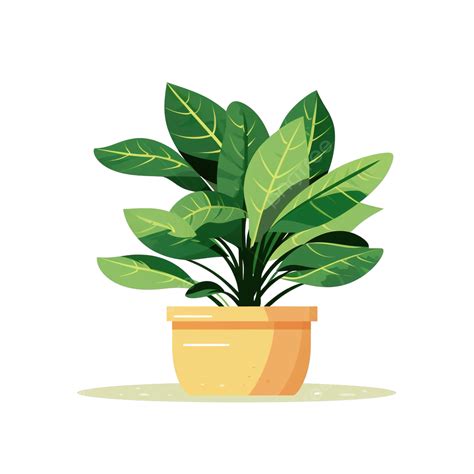 Houseplant On A Pot Flat Illustration Houseplant Leaf Cactus Png