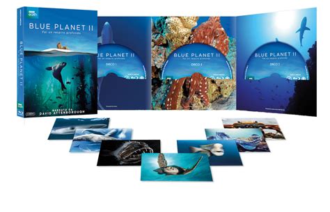 Blue Planet Ii La Serie Tv Bbc Arriva In Dvd E Blu Ray In Versione Green