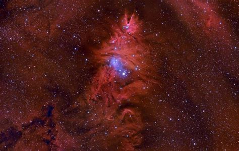 Ngc 2264 And The Fox Fur Nebula Sky And Telescope Nebula Orion