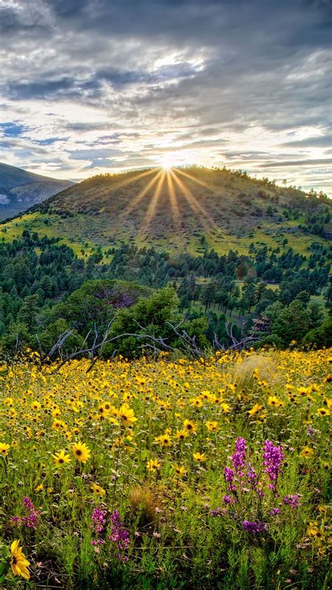 Download Wallpaper 938x1668 Arizona Valley Mountains Flowers Iphone
