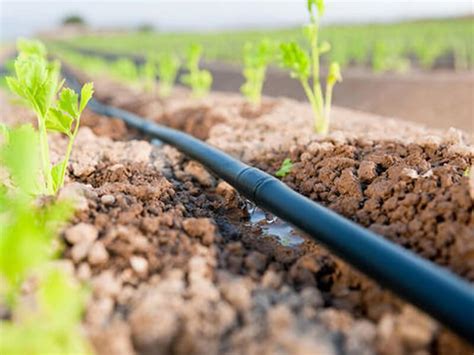 Maybe you would like to learn more about one of these? Drip irrigation manufacturers, suppliers, dealers & exporters