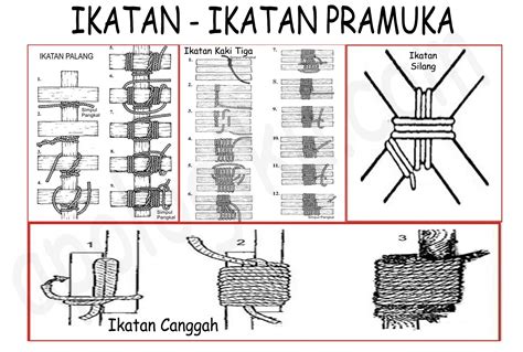 Macam Macam Simpul Dan Kegunaannya - Paket Internet Murah