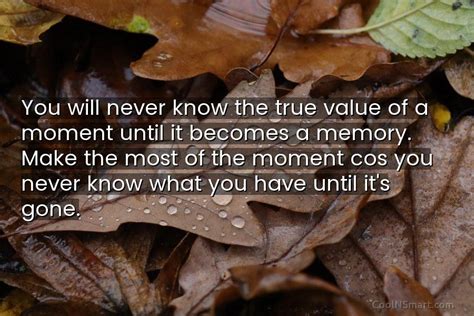 Quote You Will Never Know The True Value Of A Moment Until It