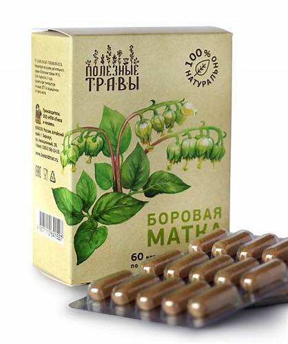Боровая матка можно похудеть Купить капсулы боровая матка, растительный экстракт, 60 капсул. Москва Купить капсулы боровая матка, растительный экстракт, 60 капсул. Москва Боровая матка можно похудеть