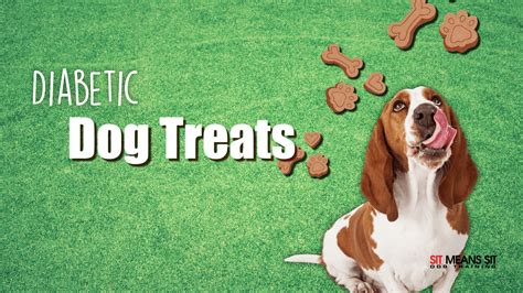 The Best Dog Treats For Diabetic Dogs Sit Means Sit Frederick