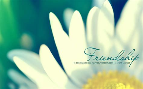 Friendship Wallpapers With Quotes Wallpapersafari
