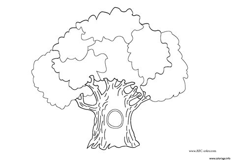 La création d'un arbre généalogique est un bon moyen d'organiser l'information familiale et d'apprendre l'histoire familiale. Coloriage arbre 99 - JeColorie.com