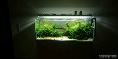 120P Aquascape Flowgrow Aquascape Aquarium Database