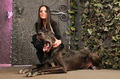 Beautiful Young Woman Posing With Her Great Dane Dog In The Studio Near