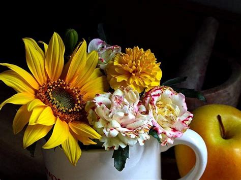 Alibaba.com offers 1,673 flower stills gallery products. Free picture: flower, still life