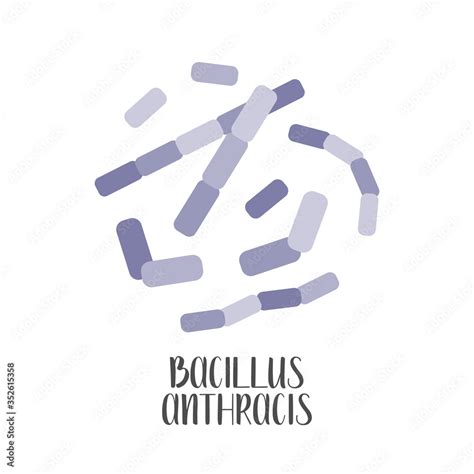 Bacillus Anthracis Pathogen Rod Shaped Gram Positive Bacteria
