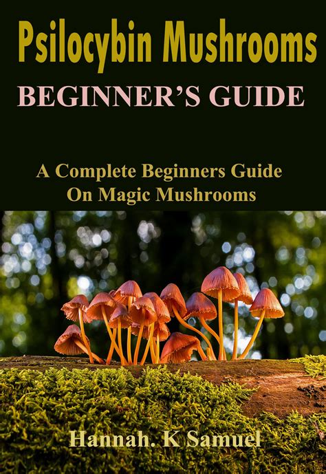 Buy Psilocybin Mushrooms Beginners Guide A Complete Beginners Guide