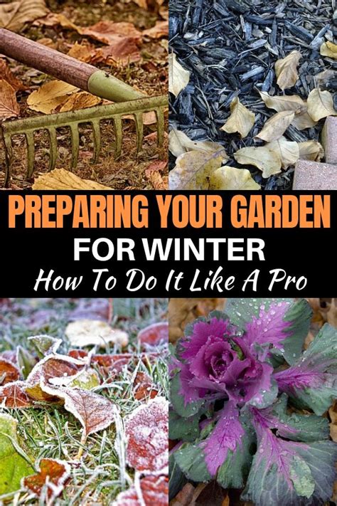 Preparing Your Garden For Winter How To Do It Like A Pro Garden