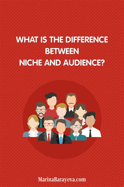 What Is The Difference Between Niche And Audience