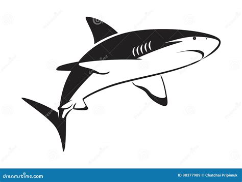 Graphic Shark Stock Vector Illustration Of Fierce Black 98377989