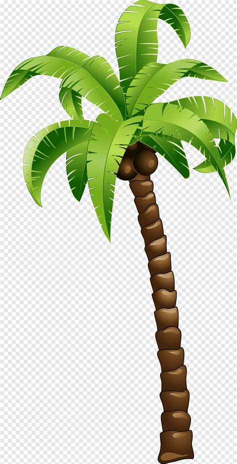 Top 155 Coconut Tree Easy Drawing Vn