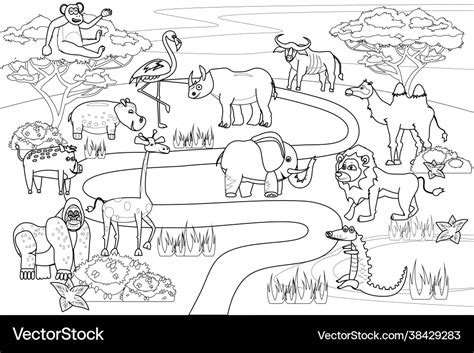 Jungle Africa Safari Animals Coloring Book Vector Image