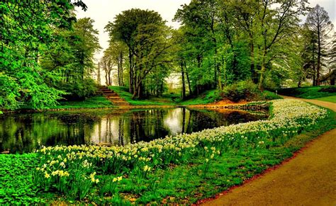 Pond In The Park Wallpapers Wallpaper Cave