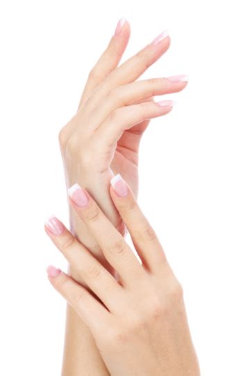 Beautiful Female Hands Png Vector Psd And Clipart With Transparent