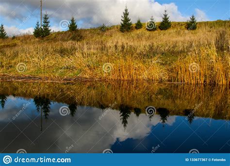 Autumn Landscape With Colorful Trees Yellow Grass And River Re Stock
