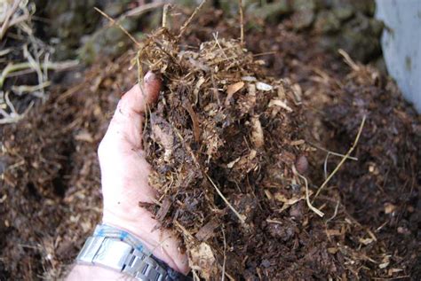 01:28 would you use composted horse manure in your garden? Animal Manure - POD easy edible gardening