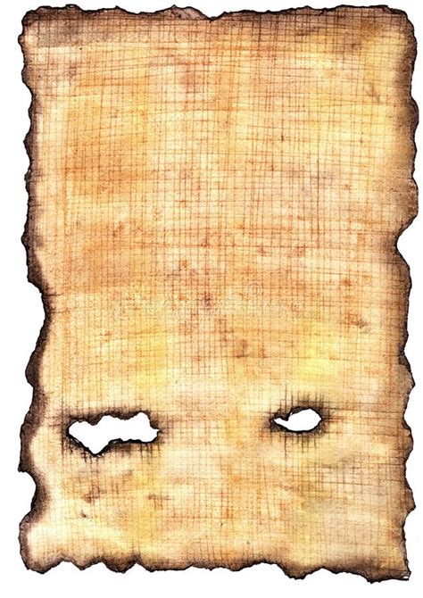 textura del papiro stock de ilustracion ilustracion de