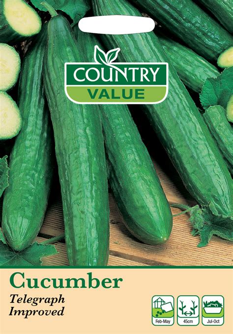 Cucumber Seeds Telegraph Improved By Country Value Uk