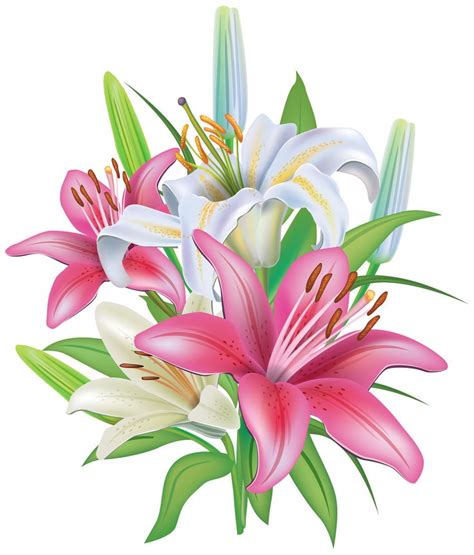 Pink Lilies Clipart 6 Flower Clipart Lilly Flower Lily Flower