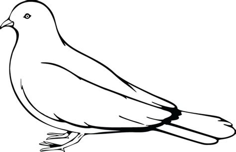 Bird Black And White Clipart Free Download On Clipartmag