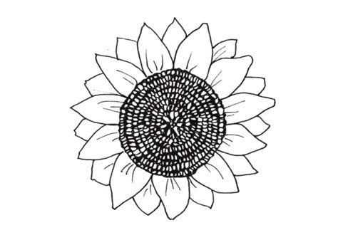 Los Mejores Dibujos De Girasoles Para Colorear 🥇