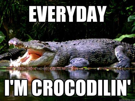 Cranky Crocodile Memes Quickmeme