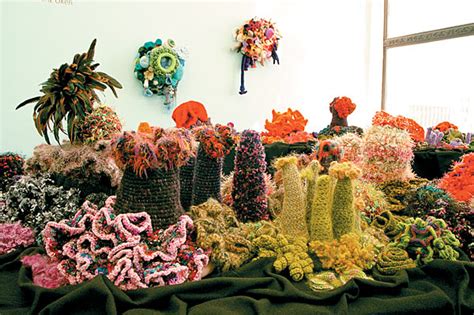 Crochet Art And Ecology Coral Reefs Project T