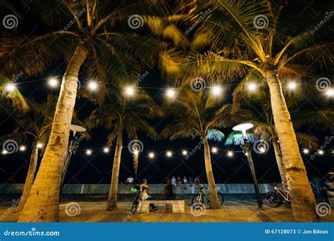 Palm Trees At Night In Pasay Metro Manila The Philippines Editorial