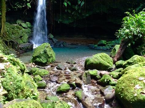 emerald pool nature trail parc national de morne trois pitons 2020 ce qu il faut savoir pour